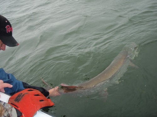 Muskie Fishing Photo